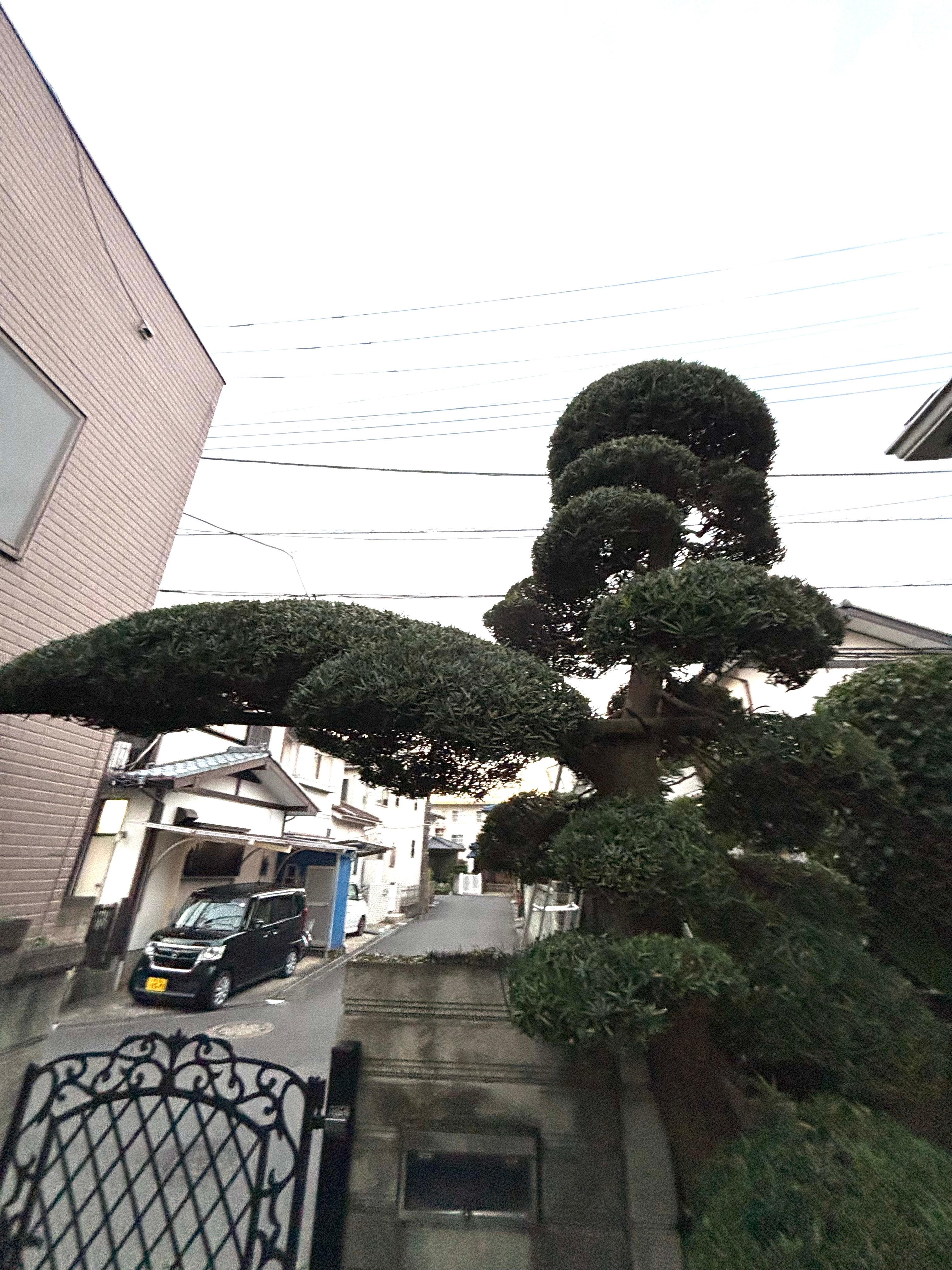 本格的な伝統技術を現代のお庭に。の写真