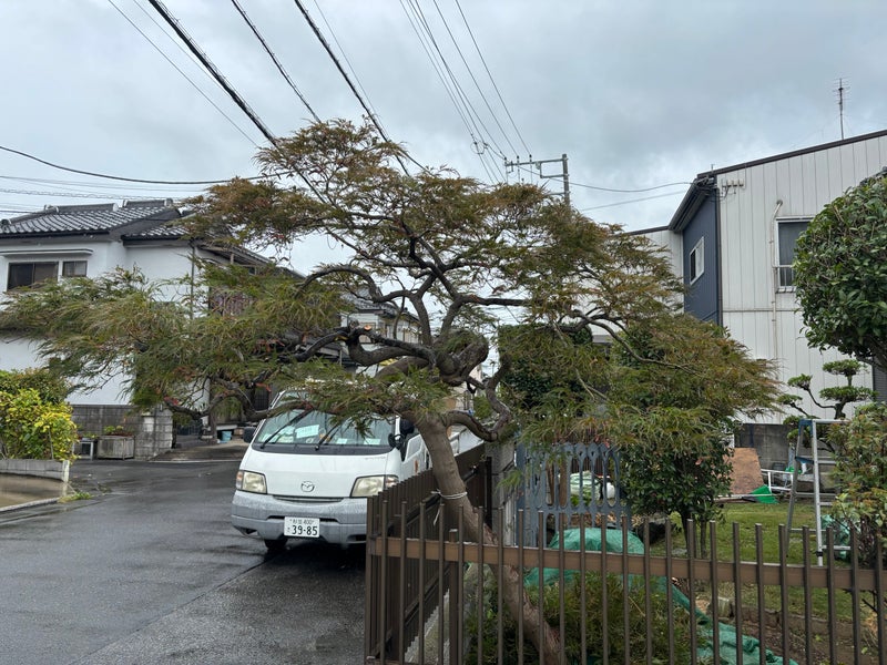 《庭事よりしろ》の画像