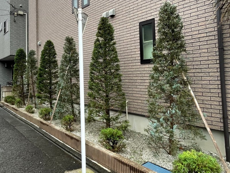 《庭事よりしろ》の画像