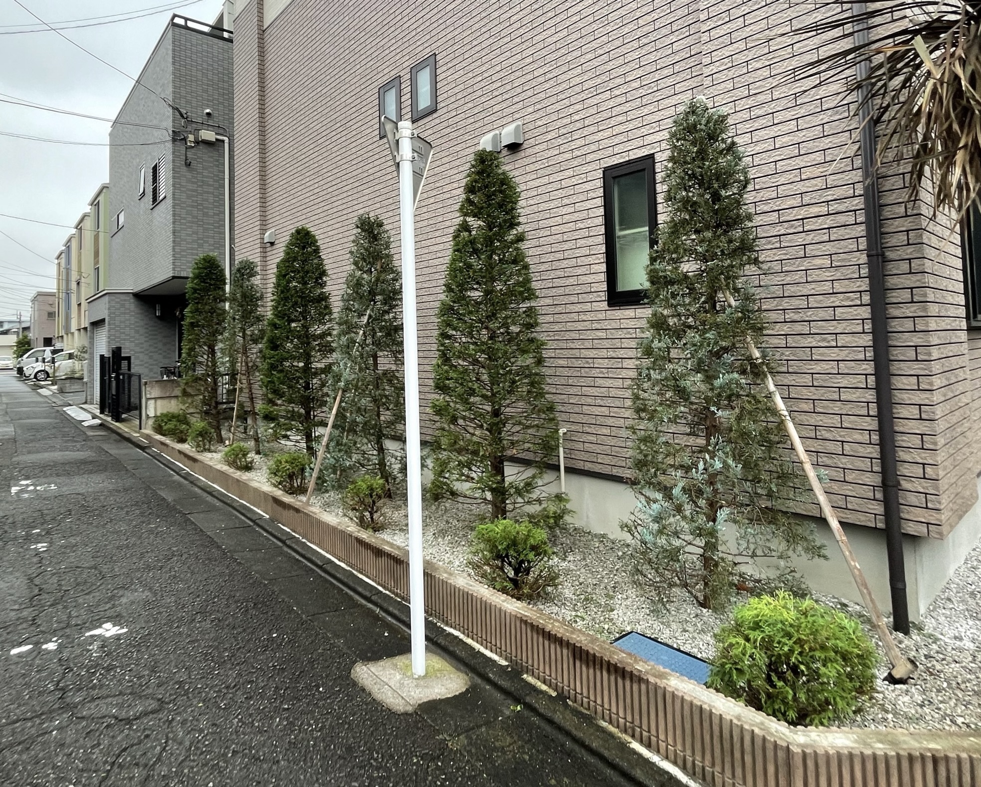 刈込み:税込 ¥2,200(高さ2m以下): /距離1m 〜の画像