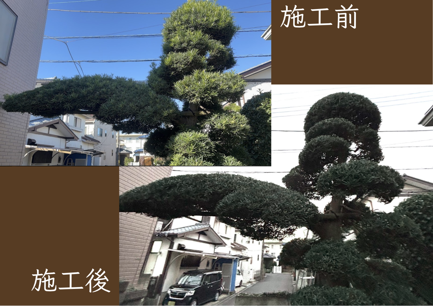 メニューの写真
